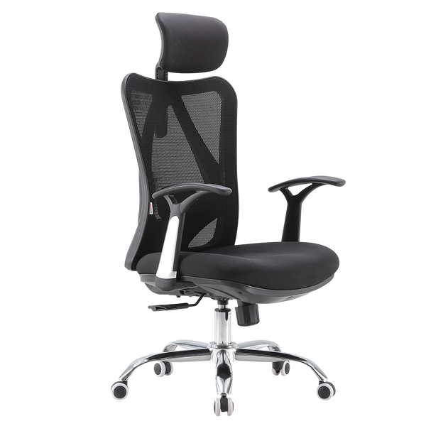 SIHOO M16 Ergonomics Home Office Chair Desk Chair with Backrest and Armrest