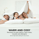 Viviendo 350 GSM Heated Electric Blanket Synthetic Wool Top - Single