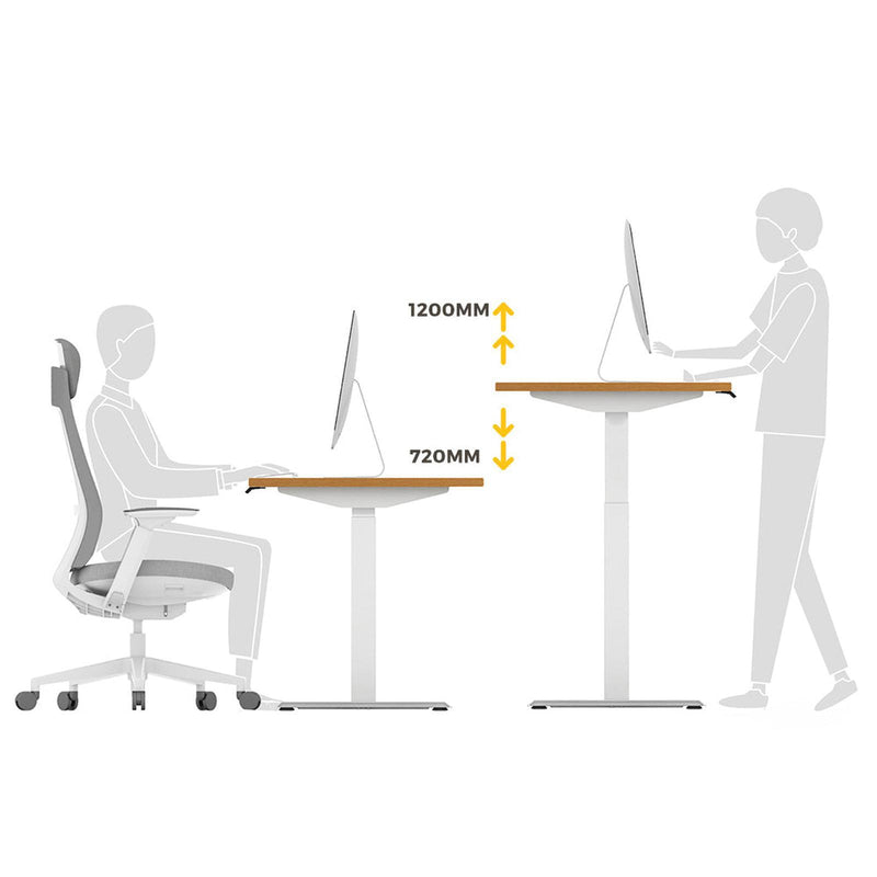 Viviendo Dual Motorised Standing Desk Electric Height Adjustable Sit Stand Workstation 1.2m Walnut Colour - White Base