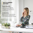 Viviendo Electric Standing Desk Dual Motorised Height Adjustable Sit Stand Workstation 1.2m Walnut Colour - Black Base