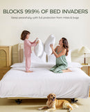 FAUNNA 100% Cotton Pillow Protectors, Bed Bug Proof, Hypoallergenic, Featuring Antimicrobial Product Protection for Enhanced Freshness, - Premium Breathable Zippered Protectors