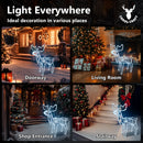 CarolCraft Animated Christmas Reindeer LED Lighted Xmas Decoration with Motions