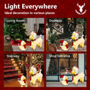 CarolCraft Christmas Lights 60 LED Fairy Light Dogs Outdoor Home Decorations 3D