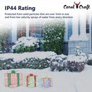 CarolCraft Christmas Lights 48 LED Fairy Light Gifts Set Outdoor Home Decorations 3D