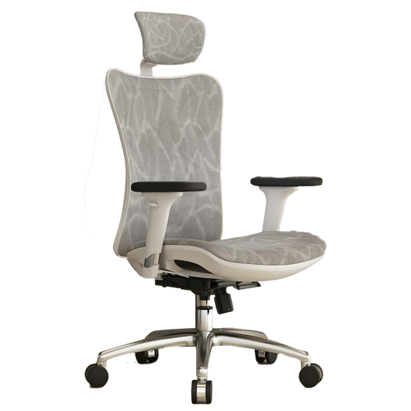 SIHOO M57 Ergonomic Office Chair with Premium Mesh Seat, Headrest, Armrest and Backrest Lumbar Support - Grey