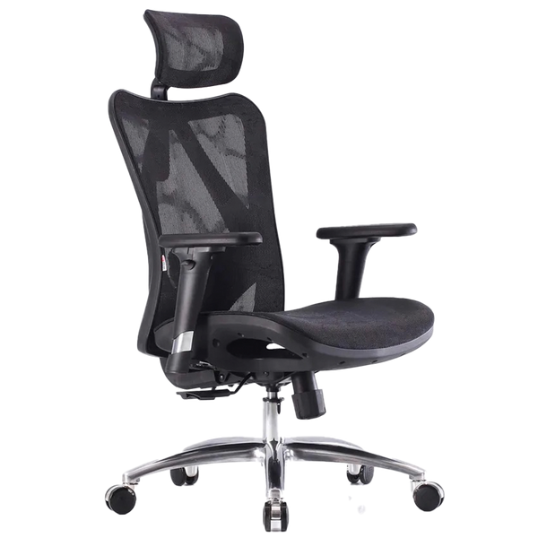 SIHOO M57 Ergonomic Office Chair with Premium Mesh Seat, Headrest, Armrest and Backrest Lumbar Support - Black