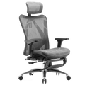 SIHOO M57 Ergonomic Office Chair with Premium Mesh Seat, Headrest, Armrest and Backrest Lumbar Support
