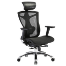 SIHOO V1 Ergonomics Executive Office Chair with Premium Mesh Seat Headrest Armrest and Backrest Lumbar Support - Black