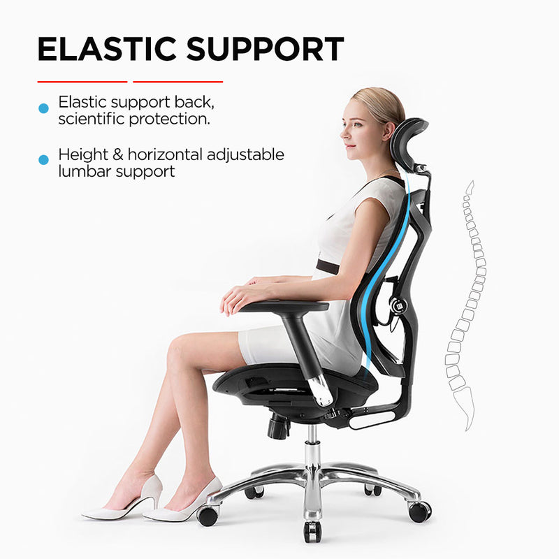 SIHOO V1 Ergonomics Executive Office Chair with Premium Mesh Seat Headrest Armrest and Backrest Lumbar Support - Black
