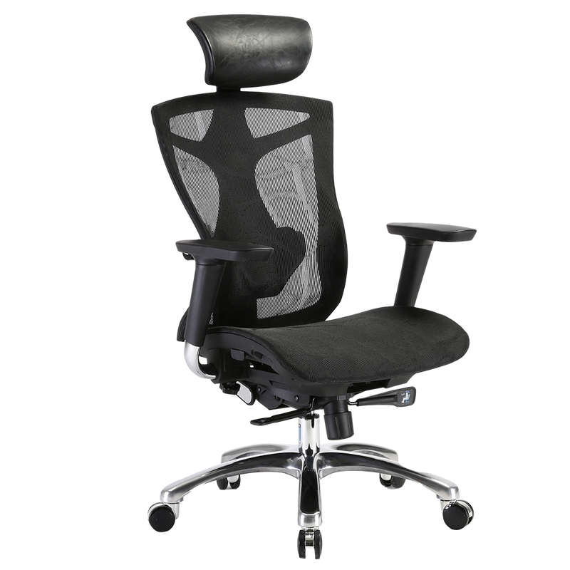 SIHOO V1 Ergonomics Executive Office Chair with Premium Mesh Seat Headrest Armrest and Backrest Lumbar Support