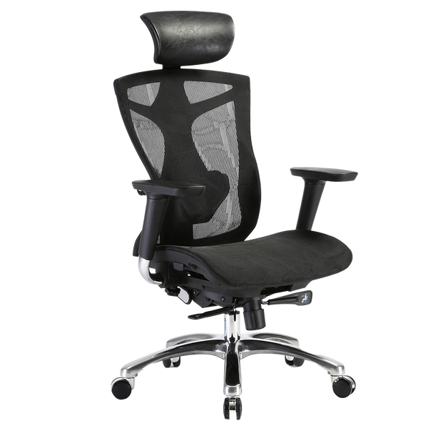 SIHOO V1 Ergonomics Executive Office Chair with Premium Mesh Seat Headrest Armrest and Backrest Lumbar Support