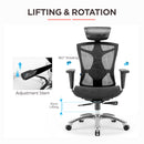 SIHOO V1 Ergonomics Executive Office Chair with Premium Mesh Seat Headrest Armrest and Backrest Lumbar Support