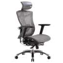 SIHOO V1 Ergonomics Executive Office Chair with Premium Mesh Seat Headrest Armrest and Backrest Lumbar Support
