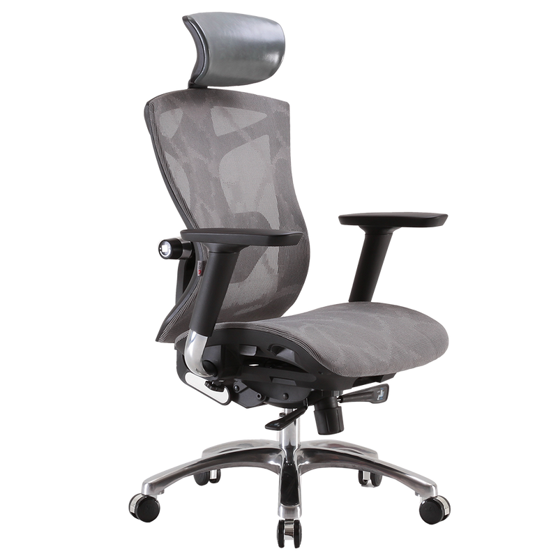 SIHOO V1 Ergonomics Executive Office Chair with Premium Mesh Seat Headrest Armrest and Backrest Lumbar Support