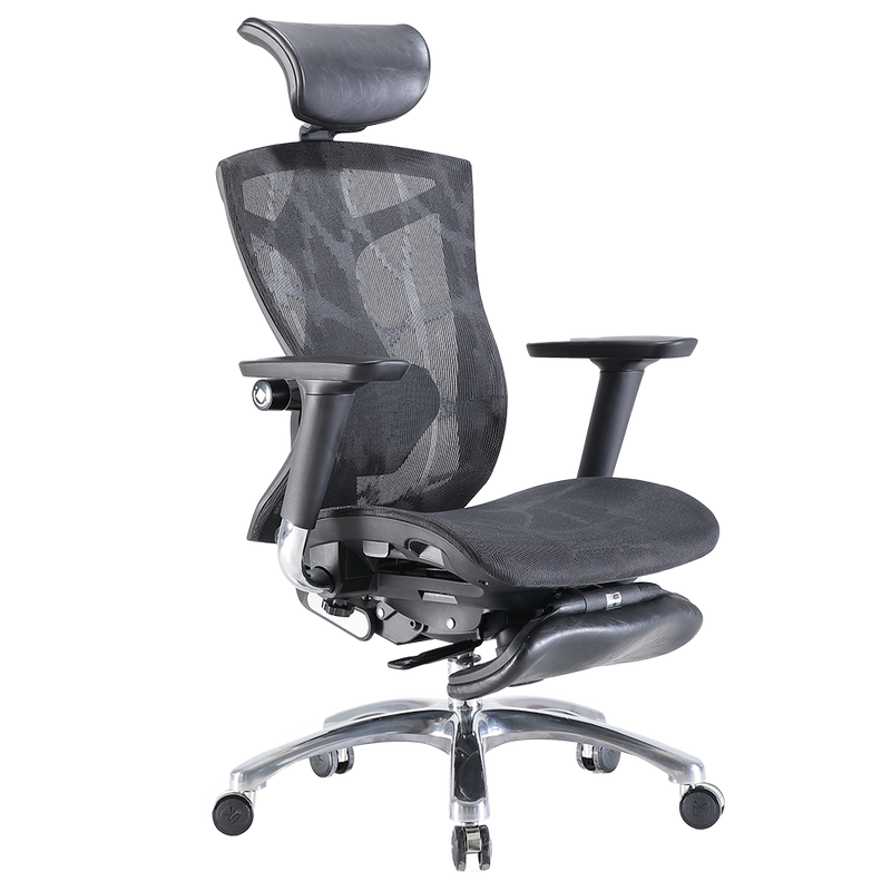 SIHOO V1 Ergonomics Executive Office Chair with Premium Mesh Seat Headrest Armrest and Backrest Lumbar Support