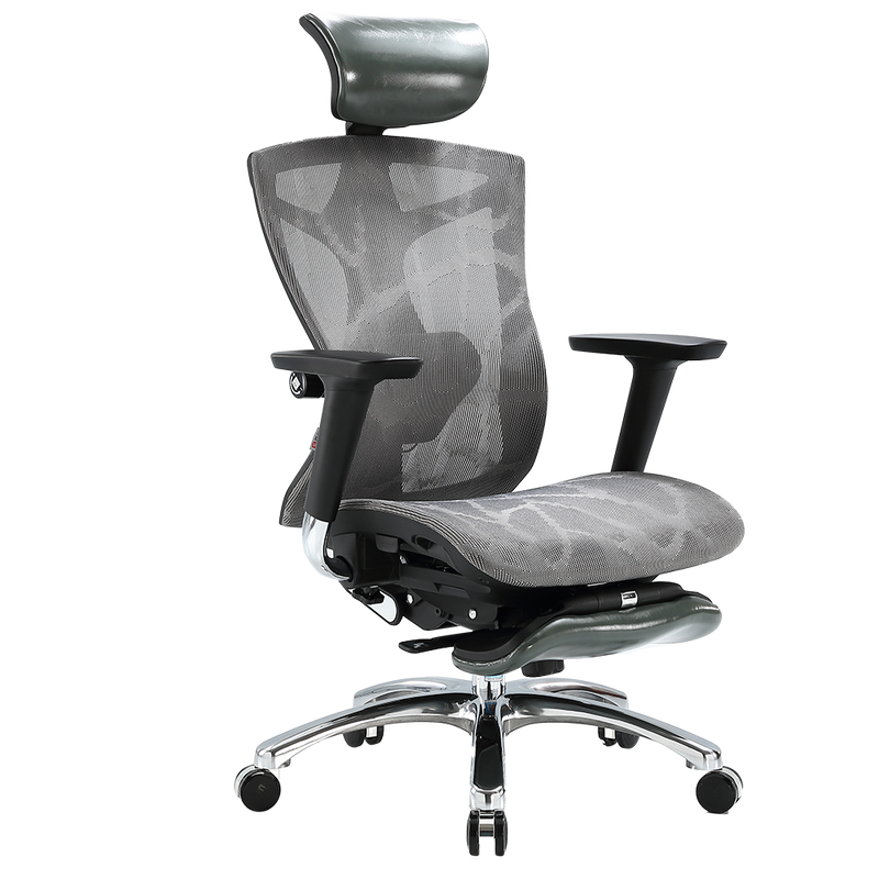 SIHOO V1 Ergonomics Executive Office Chair with Premium Mesh Seat Headrest Armrest and Backrest Lumbar Support