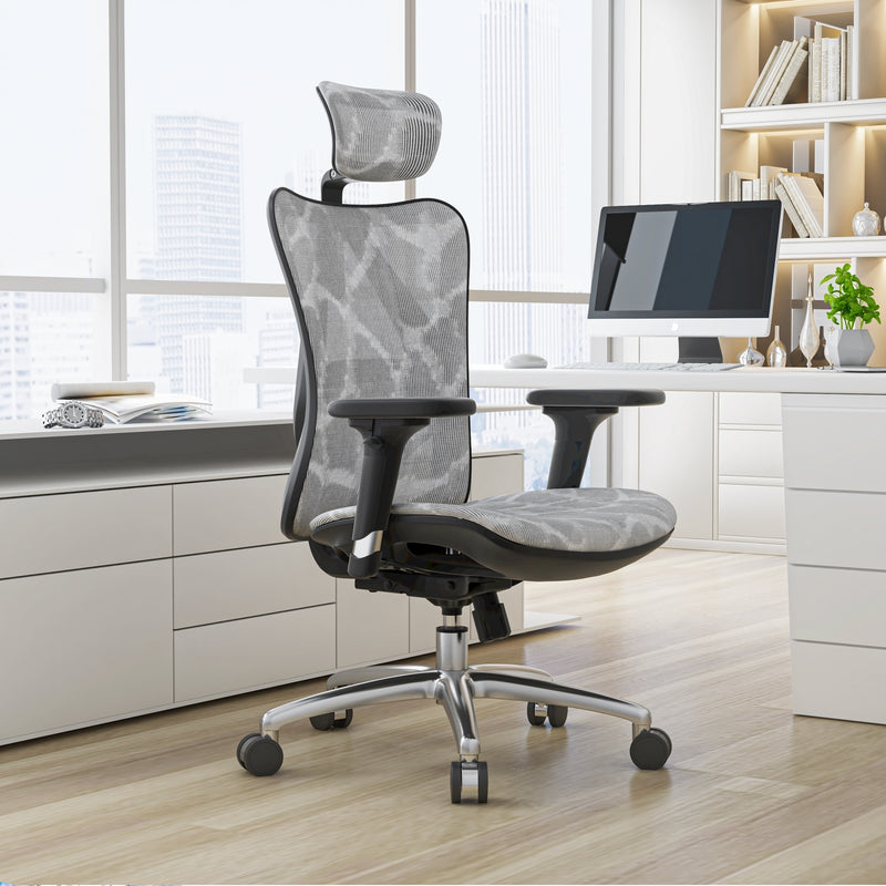 SIHOO M57 Ergonomic Office Chair with Premium Mesh Seat, Headrest, Armrest and Backrest Lumbar Support - Dark Grey
