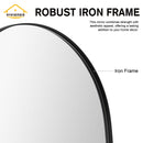 Viviendo Pebble Wall Mirror Irregular Shape Vanity Bathroom Mirrors Metal Frame