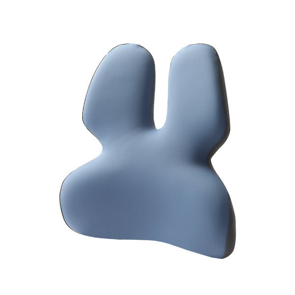 Viviendo Memory Foam Lumbar Support Ergonomic Back Cushion - Blue