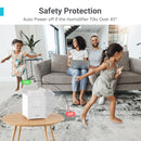 3L Stainless Steel Warm Mist Humidifier with Easy Clean and Warm Steam Function, Healthy Air Mist Humidifiers for Bedroom Living Room, with Sleep Mode