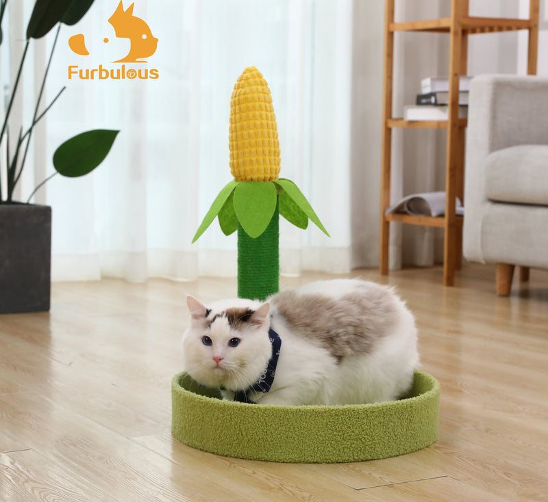 Furbulous Corn Cob Cat Scratching Post with Calming Cat Bed Fluffing soft for Kitty to Rest and Sleep