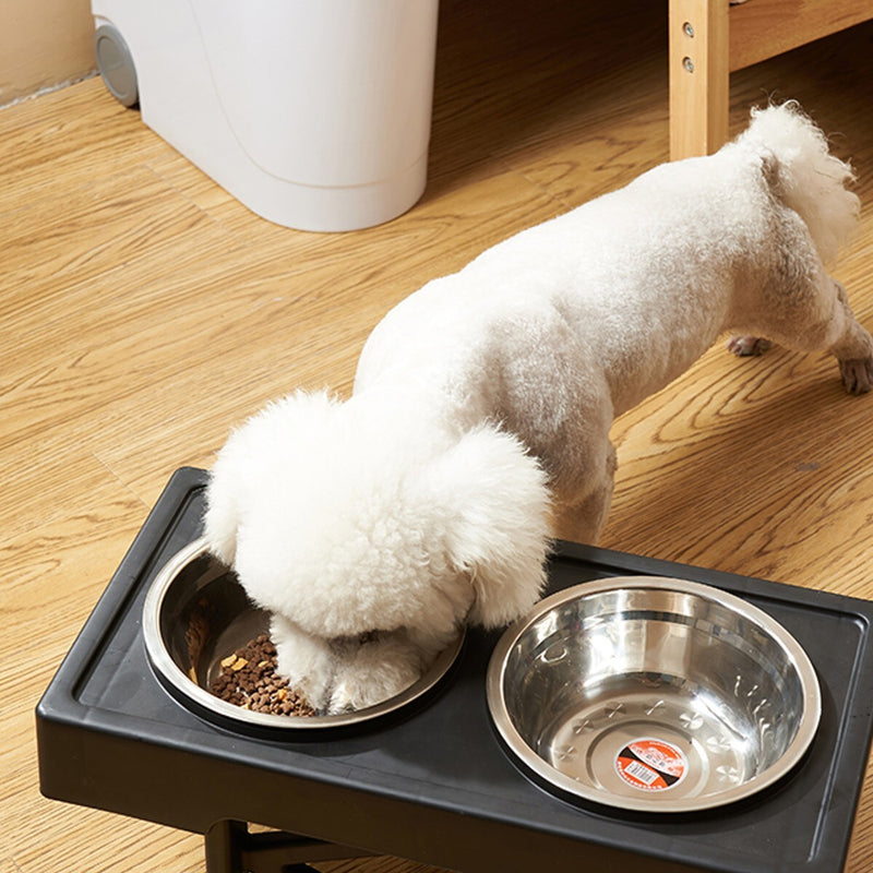 Furbulous Dual Pet Feeding Bowls and Stand with Adjustable Height