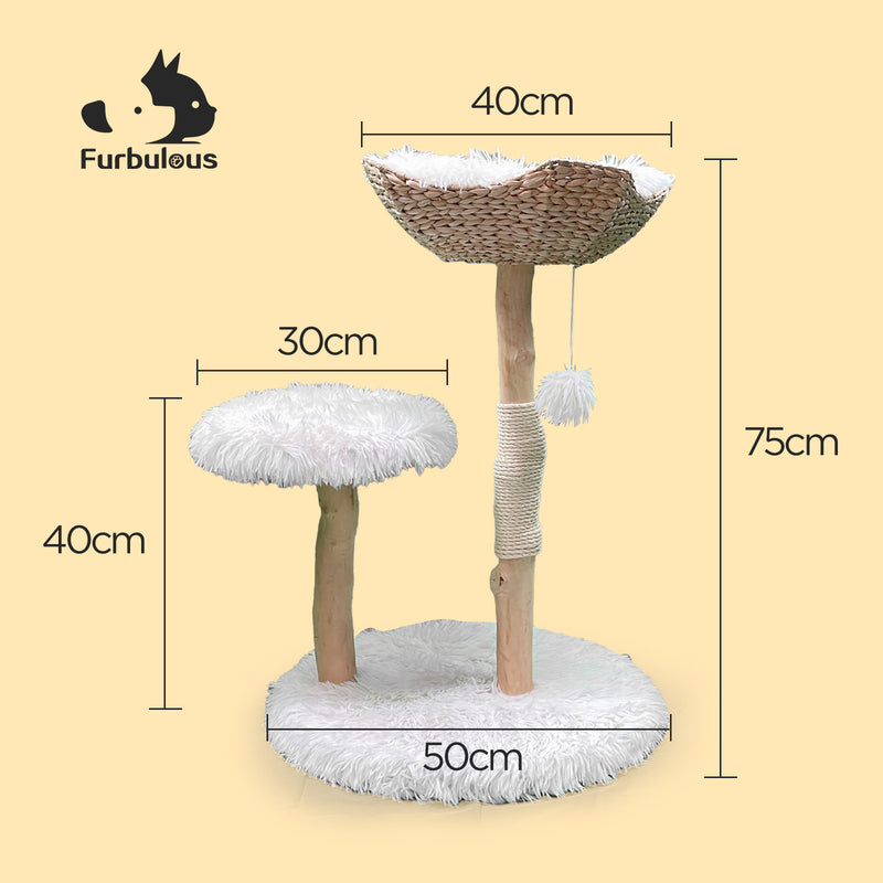 Furbulous Selected Real Wood Cat Tree Rattan tower with Condo House - 81cm