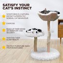 Furbulous Selected Real Wood Cat Tree Rattan tower with Condo House - 81cm