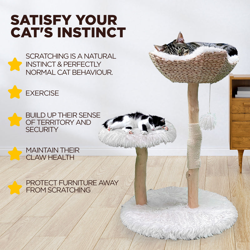 Furbulous Selected Real Wood Cat Tree Rattan tower with Condo House - 81cm