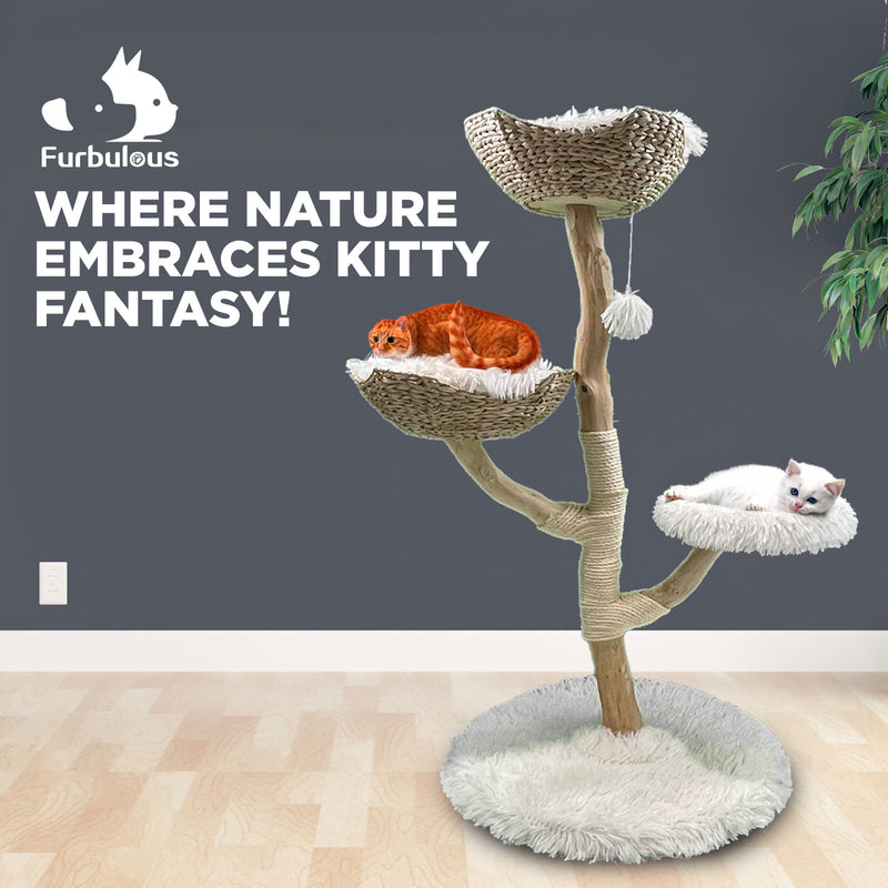 Furbulous Selected Real Wood Cat Tree Rattan tower with Condo House - 81cm