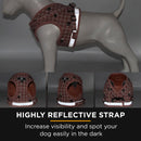 Furbulous No Pull Cat Small Dog Harness and Lead Set Adjustable Reflective Step-in Vest Harnesses Mesh Padded Plaid Escape Proof Puppy Jacket