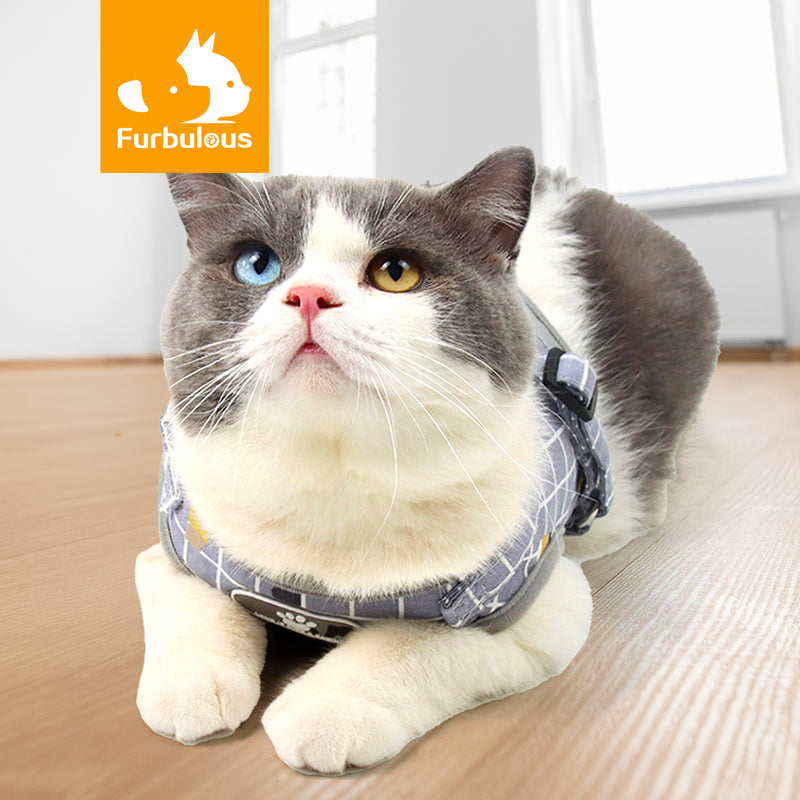 Furbulous No Pull Cat Small Dog Harness and Lead Set Adjustable Reflective Step-in Vest Harnesses Mesh Padded Plaid Escape Proof Puppy Jacket - Grey Medium