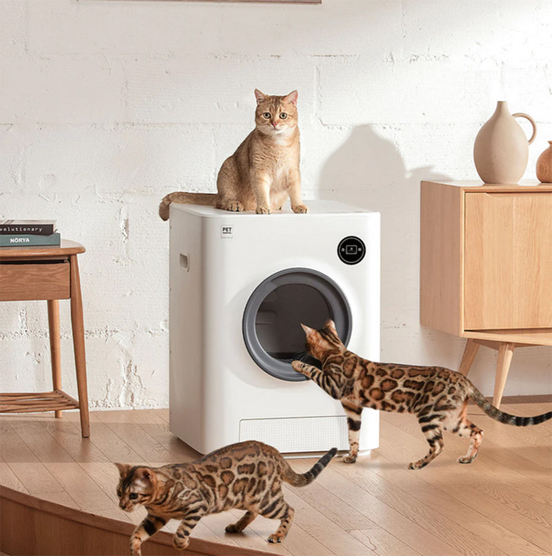 Pet Marvel Self Clean Smart Automated Cat Litter Box with APP Control