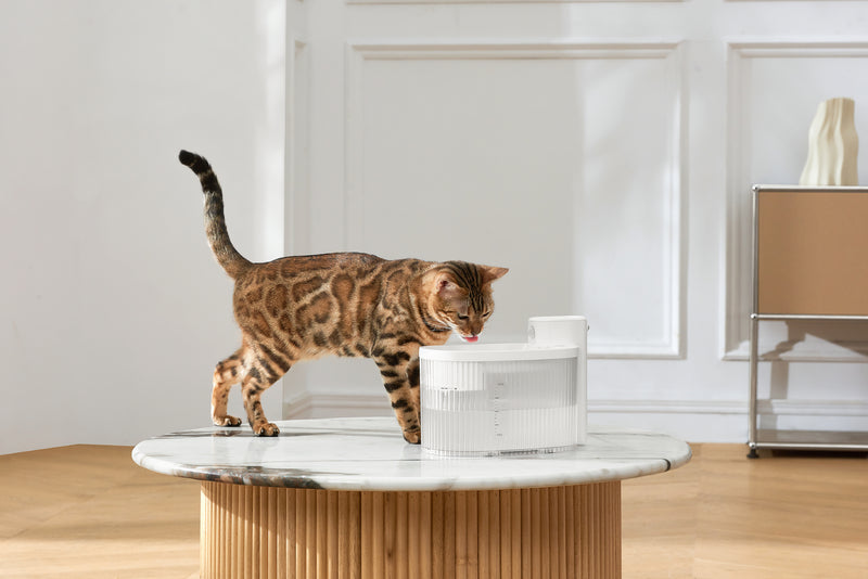 Pet Marvel Cat Water Fountain Wireless Battery Operated 2.5L Automatic Water Dispenser for Cats