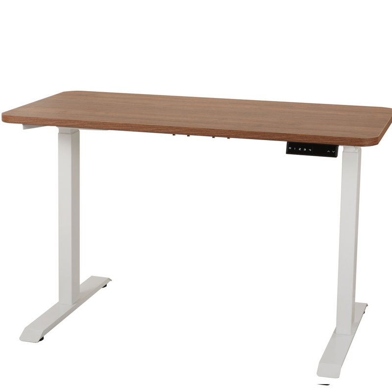 Viviendo Dual Motorised Standing Desk Electric Height Adjustable Sit Stand Workstation 1.4m Walnut Colour - White Base