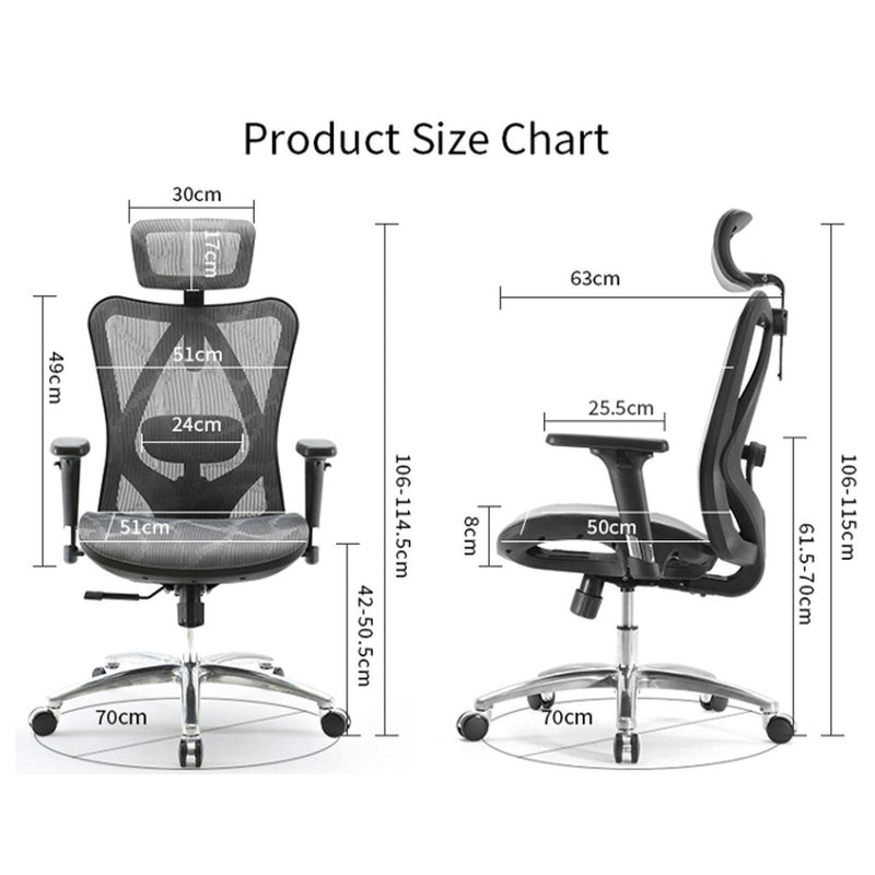 SIHOO M57 Ergonomic Office Chair Desk Chair Computer Chair with Adjustable Headrest Backrest and Armrest - Grey