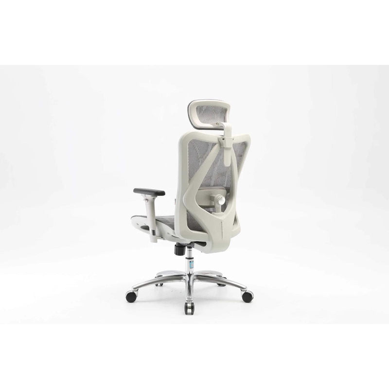 SIHOO M57 Ergonomic Office Chair Desk Chair Computer Chair with Adjustable Headrest Backrest and Armrest - Grey